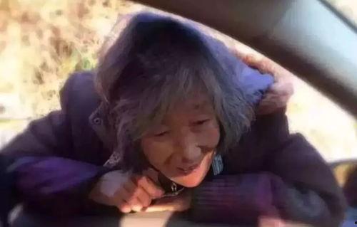 慈母在线观看,温情演绎母爱如山的故事 第3张 慈母在线观看,温情演绎母爱如山的故事 第3张