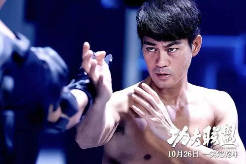 功夫联盟在线观看完整版,热血集结,巅峰对决 第2张 功夫联盟在线观看完整版,热血集结,巅峰对决 第2张